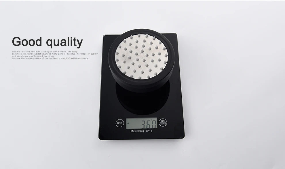ShowerEase Stainless Steel Fixed / Handled Shower Head
