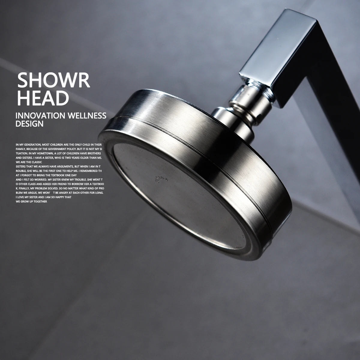ShowerEase Stainless Steel Fixed / Handled Shower Head