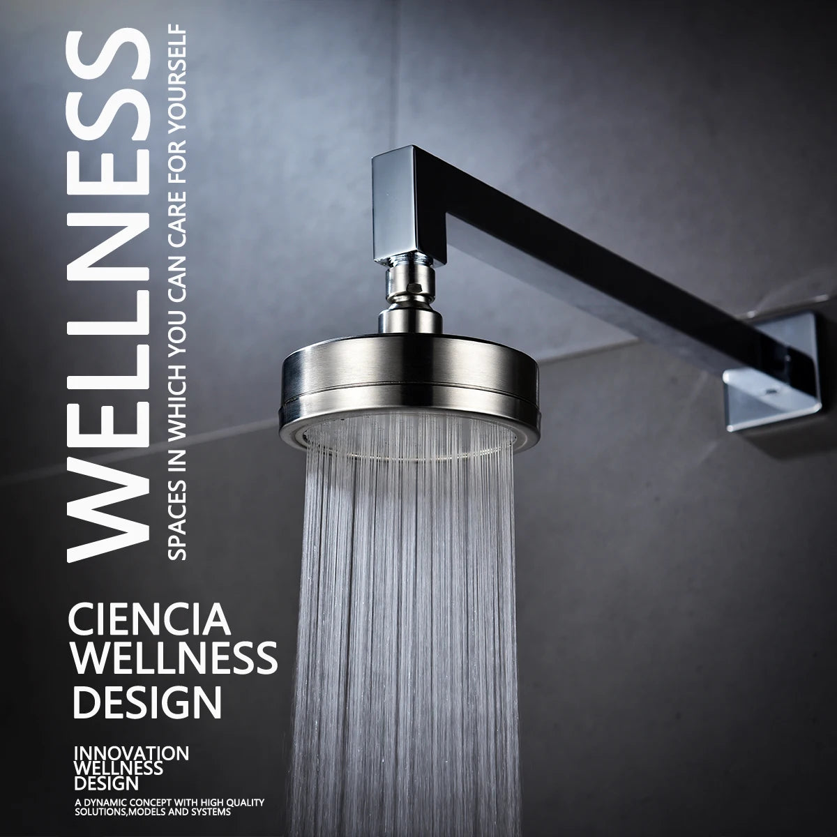 ShowerEase Stainless Steel Fixed / Handled Shower Head