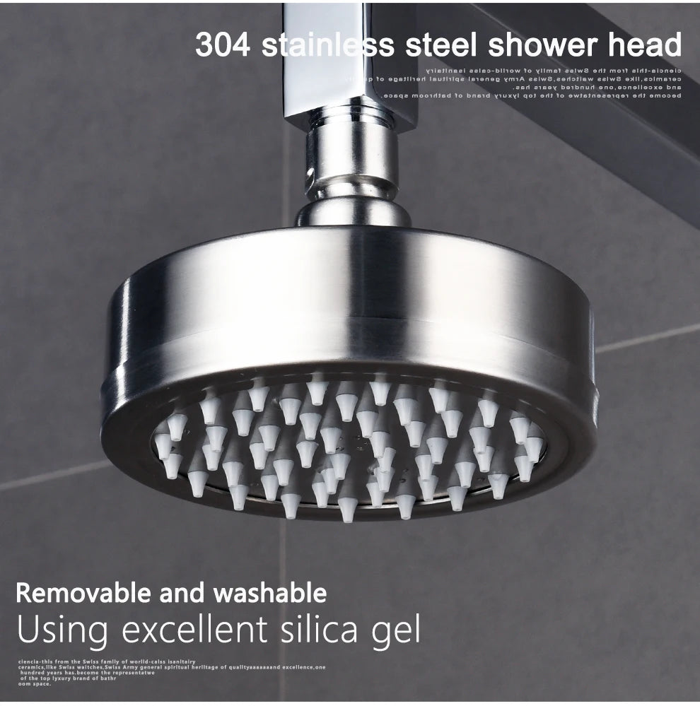 ShowerEase Stainless Steel Fixed / Handled Shower Head