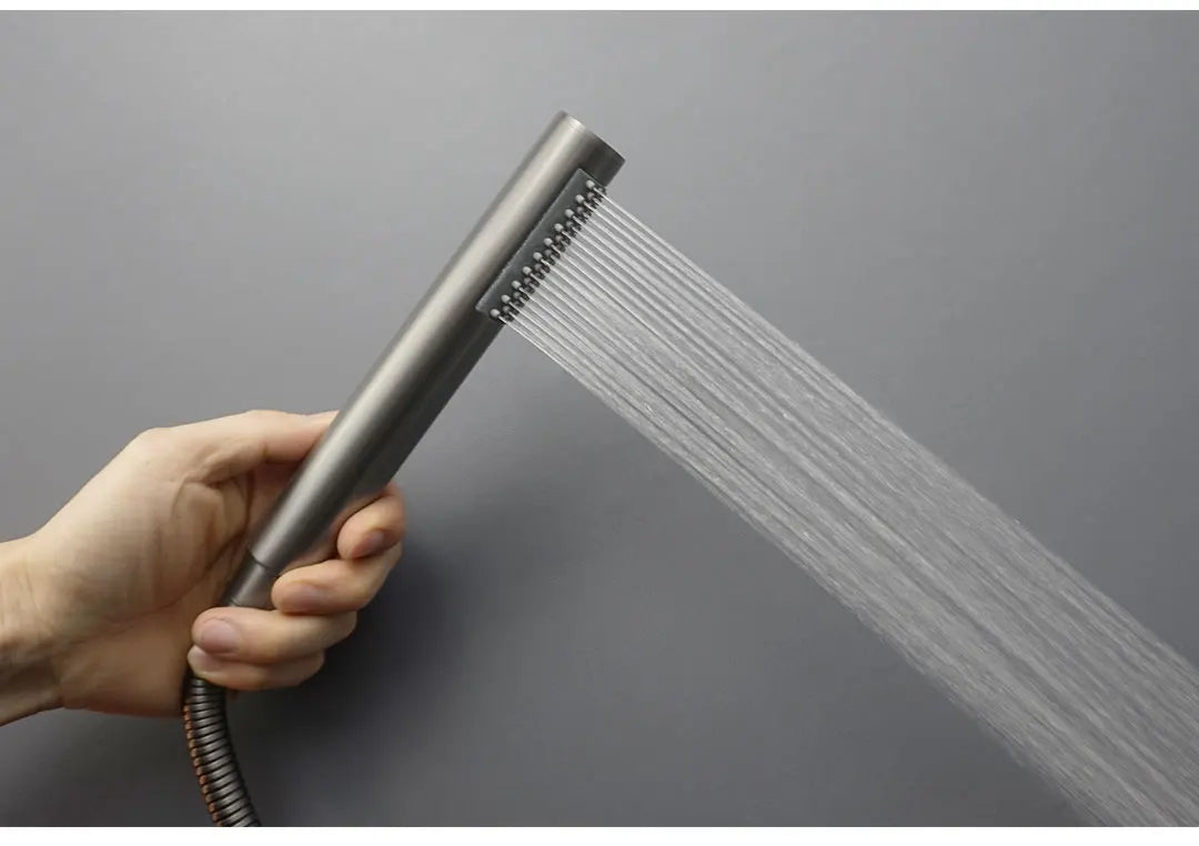 ShowerEase AquaStream Stainless Steel Handheld Shower Head