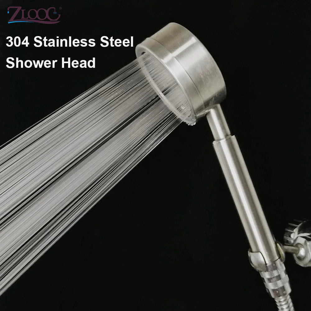 ShowerEase Stainless Steel Handheld Shower Set: Head, Holder & Hose