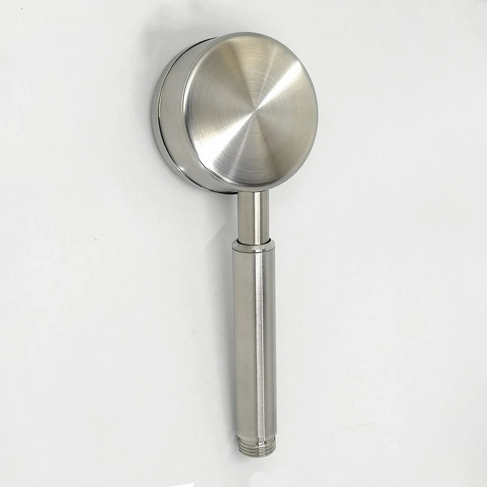 ShowerEase Stainless Steel Handheld Shower Set: Head, Holder & Hose